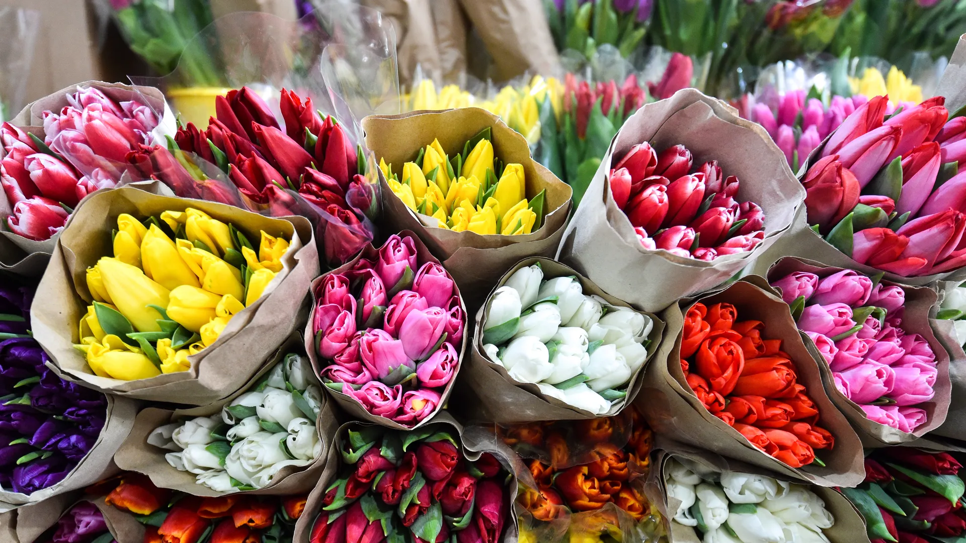 Лед для тюльпанов и косой срез для хризантем: лайфхаки от подмосковного флориста перед 8 марта