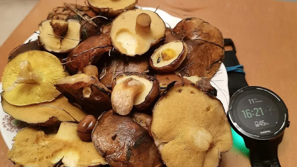 Фото: Константин Кошелев