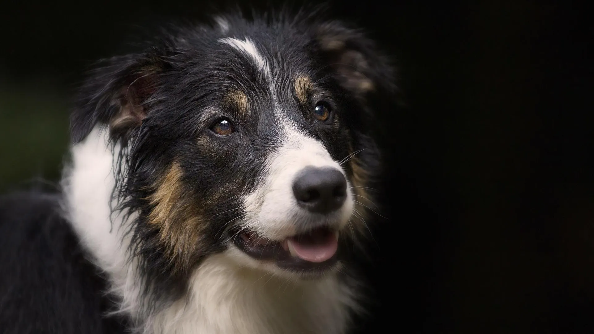 медиасток.рф