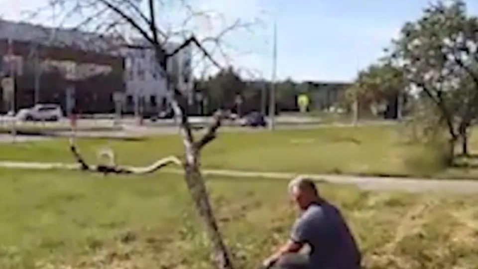 Фото: пресс-служба Администрации г.о. Черноголовка