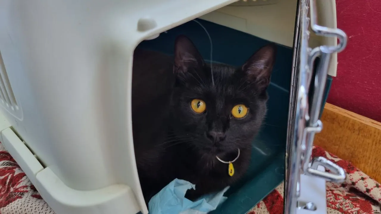 Фото: REGIONS/Анна Иванова