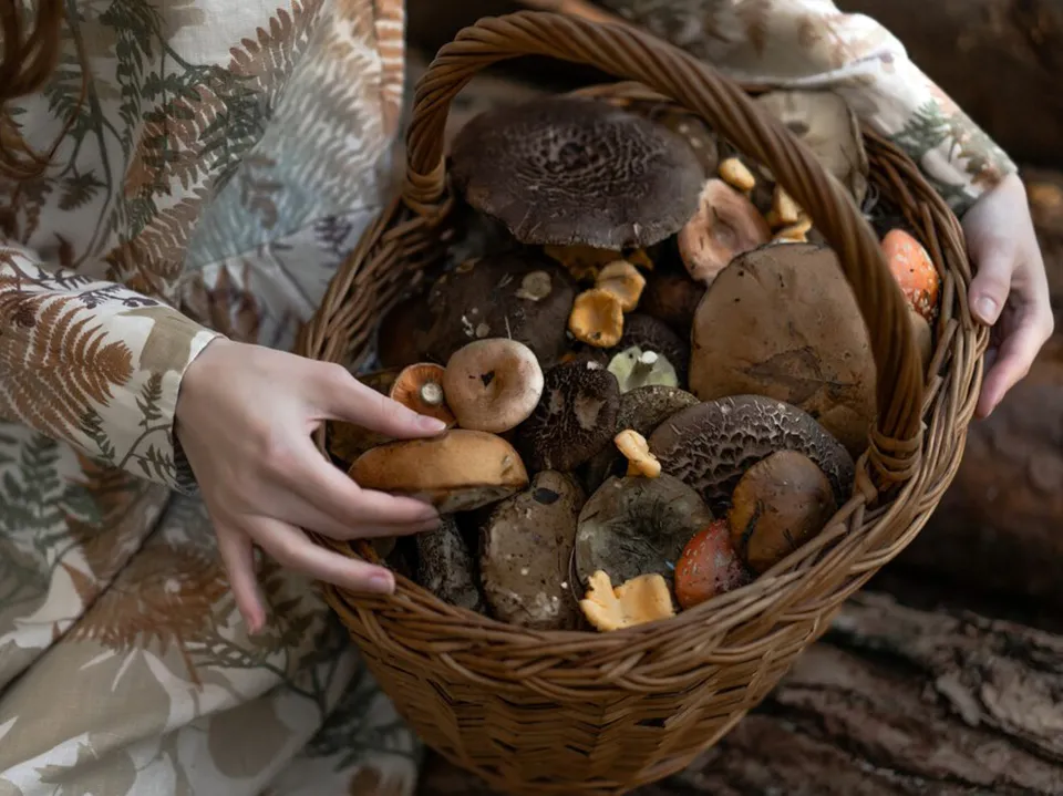 Фото: freepik.com