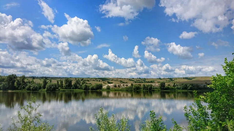 Фото: pxhere.com