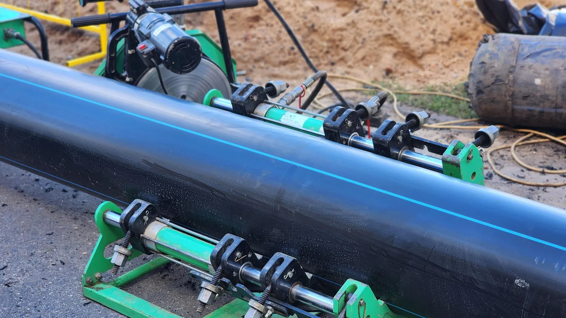 Фото: Полина Пахомова