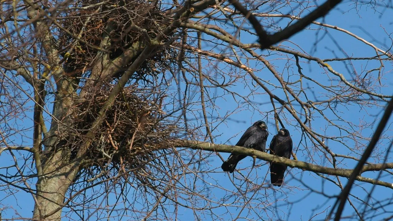 REGIONS/Евгений Мазепов