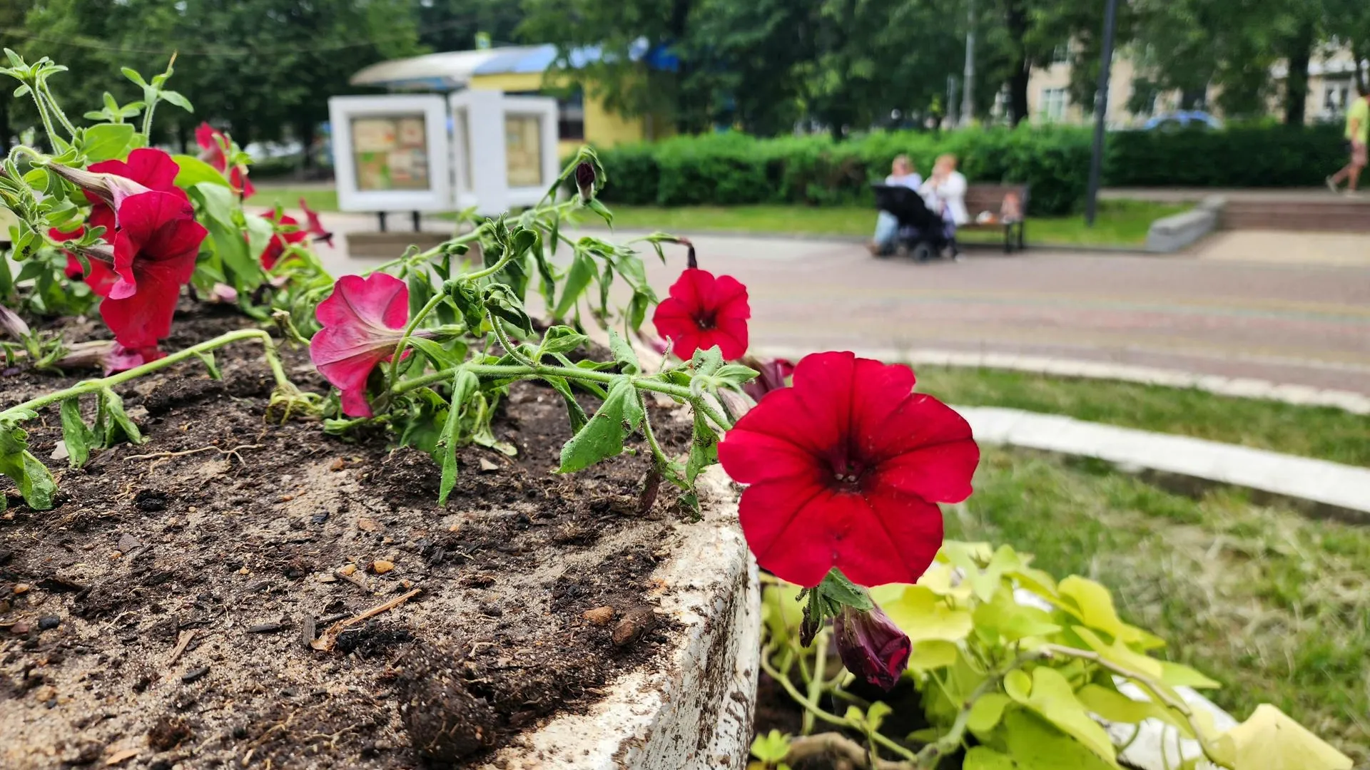 Фото: Мария Панина