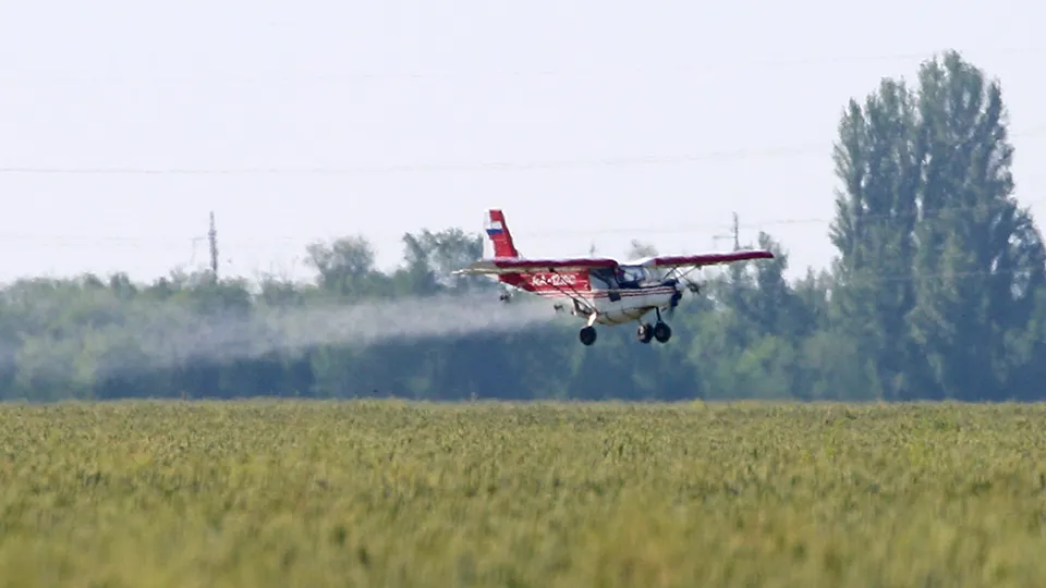 Фото: ТАСС/Дмитрий Рогулин