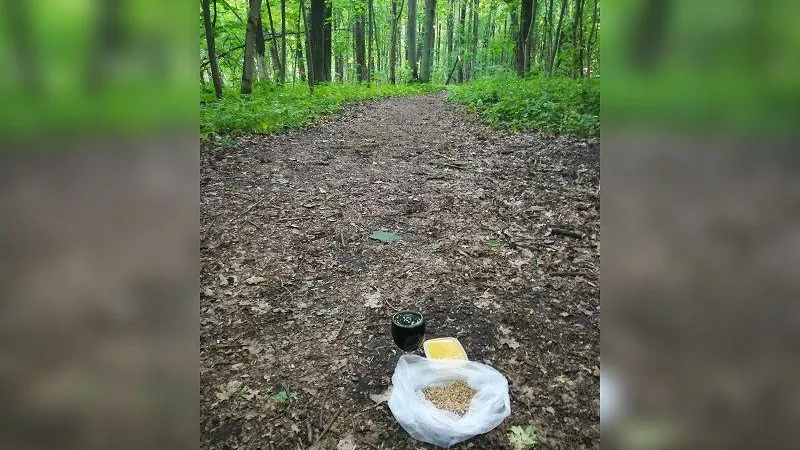  Лыткарино Онлайн / ВКонтакте
