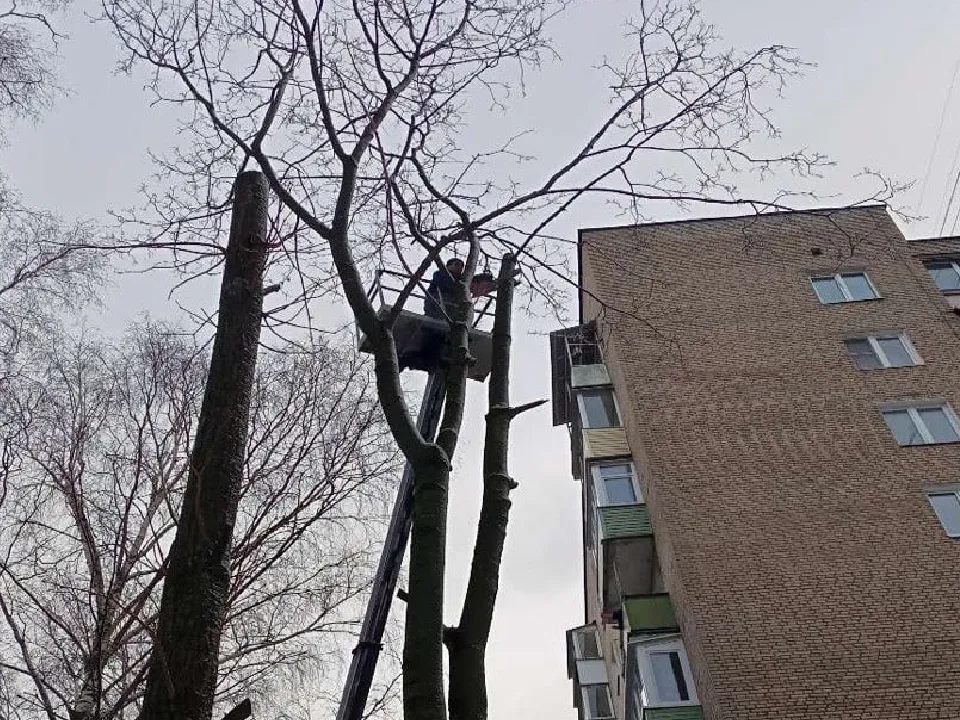 Фото: ООО «ДГХ»