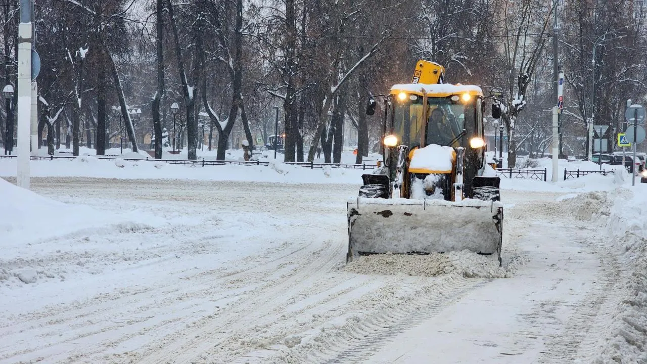 REGIONS/Мария Шигорева