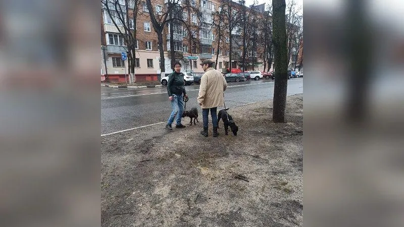 Подслушано Балашиха  / ВКонтакте