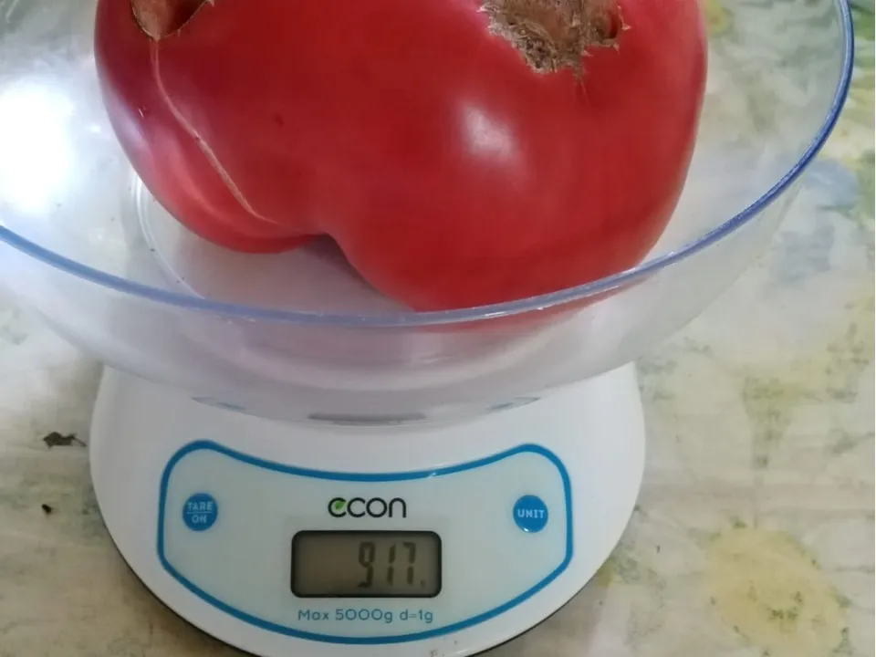 Фото: Ирина Кленовая