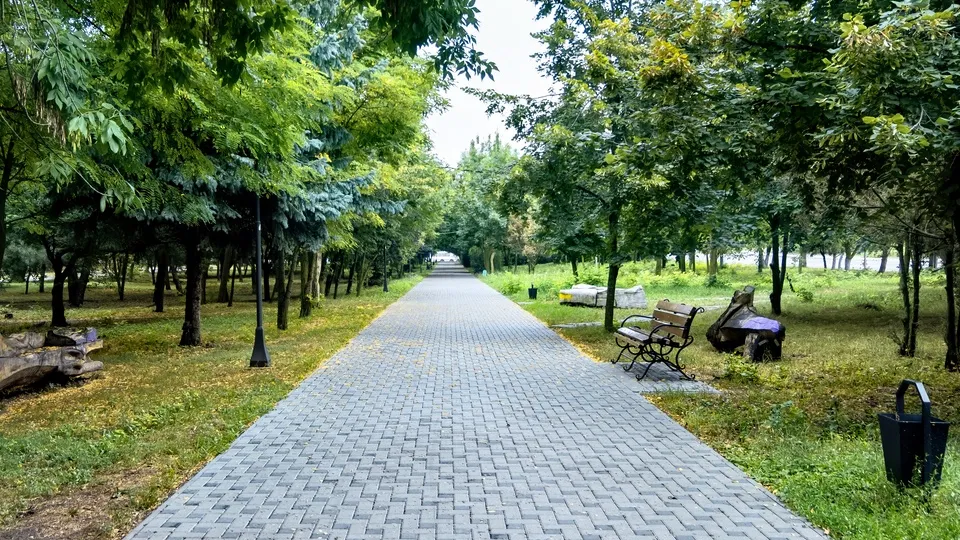 Фото: freepik.com