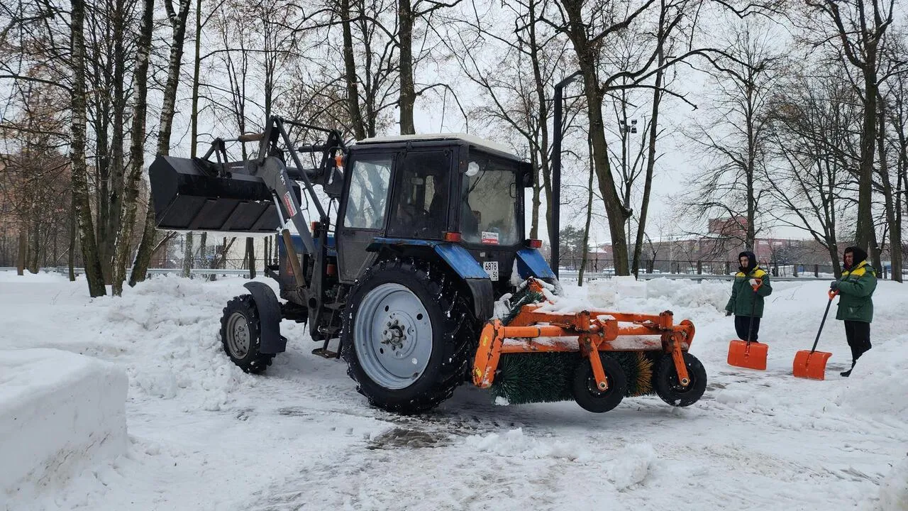 REGIONS/Валерия Тингаева