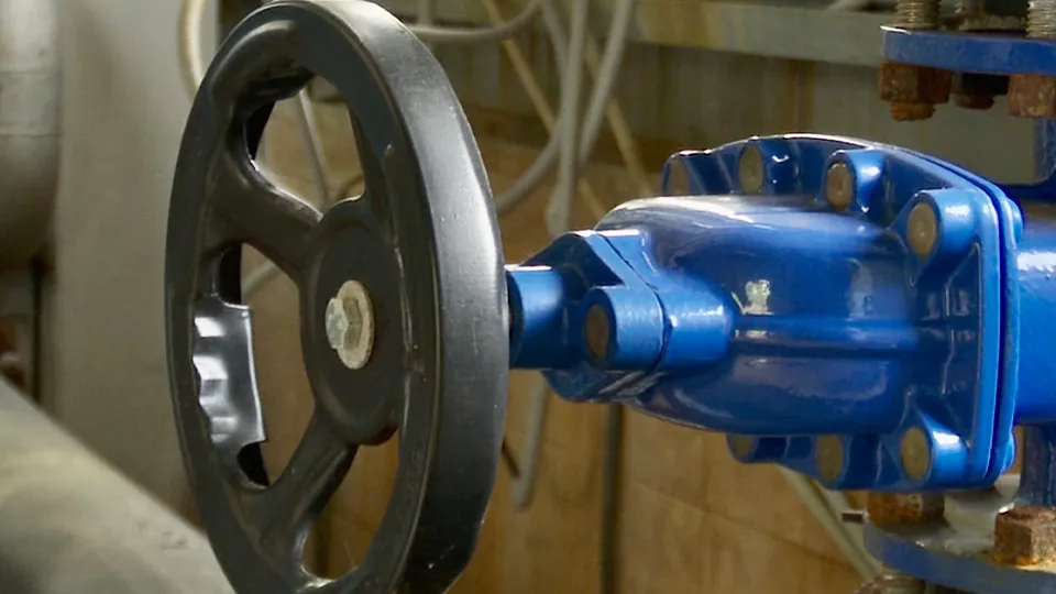 Фото: МедиаБанк Подмосковья/Данила Кирьянов