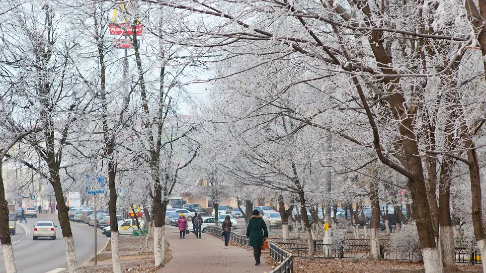 Фото: медиасток.рф