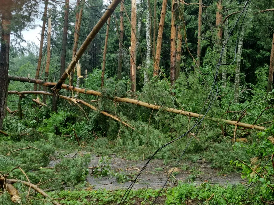 Фото: Наталия Надточая&nbsp;