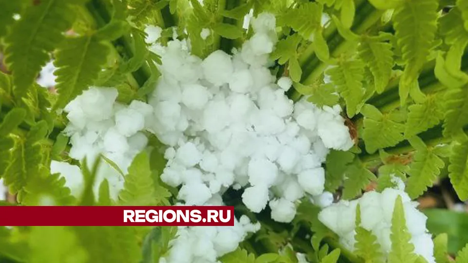 Фото: REGIONS/Ольга Егиян