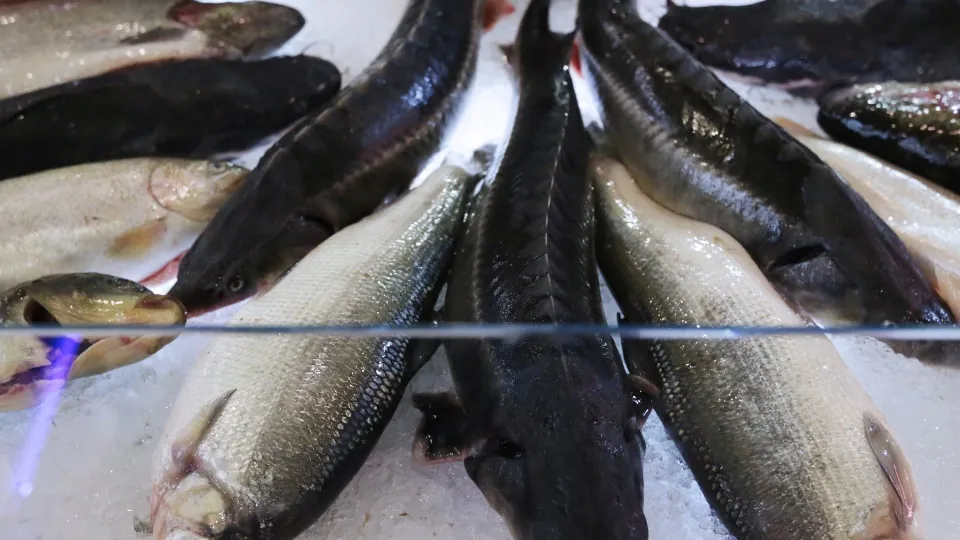 Фото: ТАСС/Смертин Павел