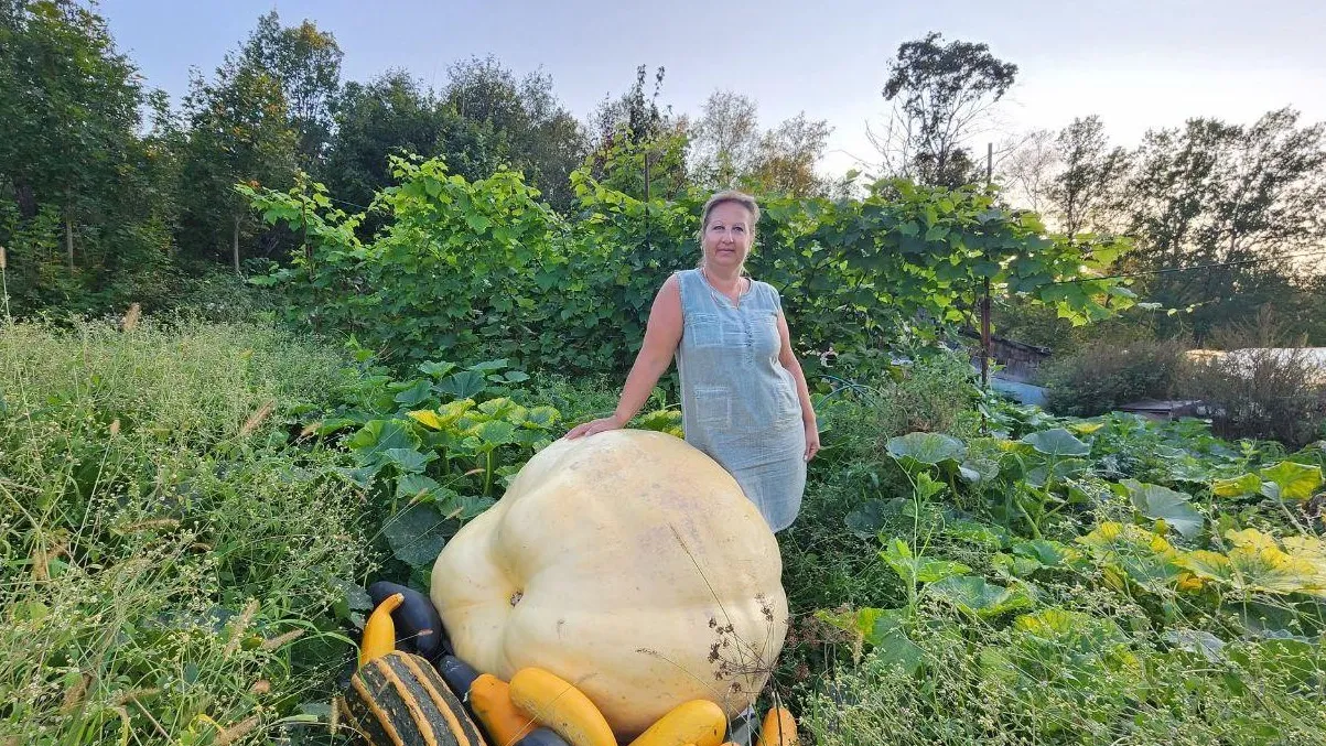 REGIONS/Яна Шаливская