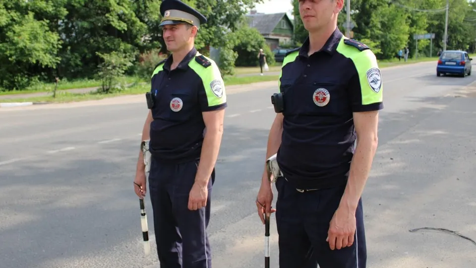 Фото: пресс-служба отдела Госавтоинспекции МУ МВД России «Люберецкое»