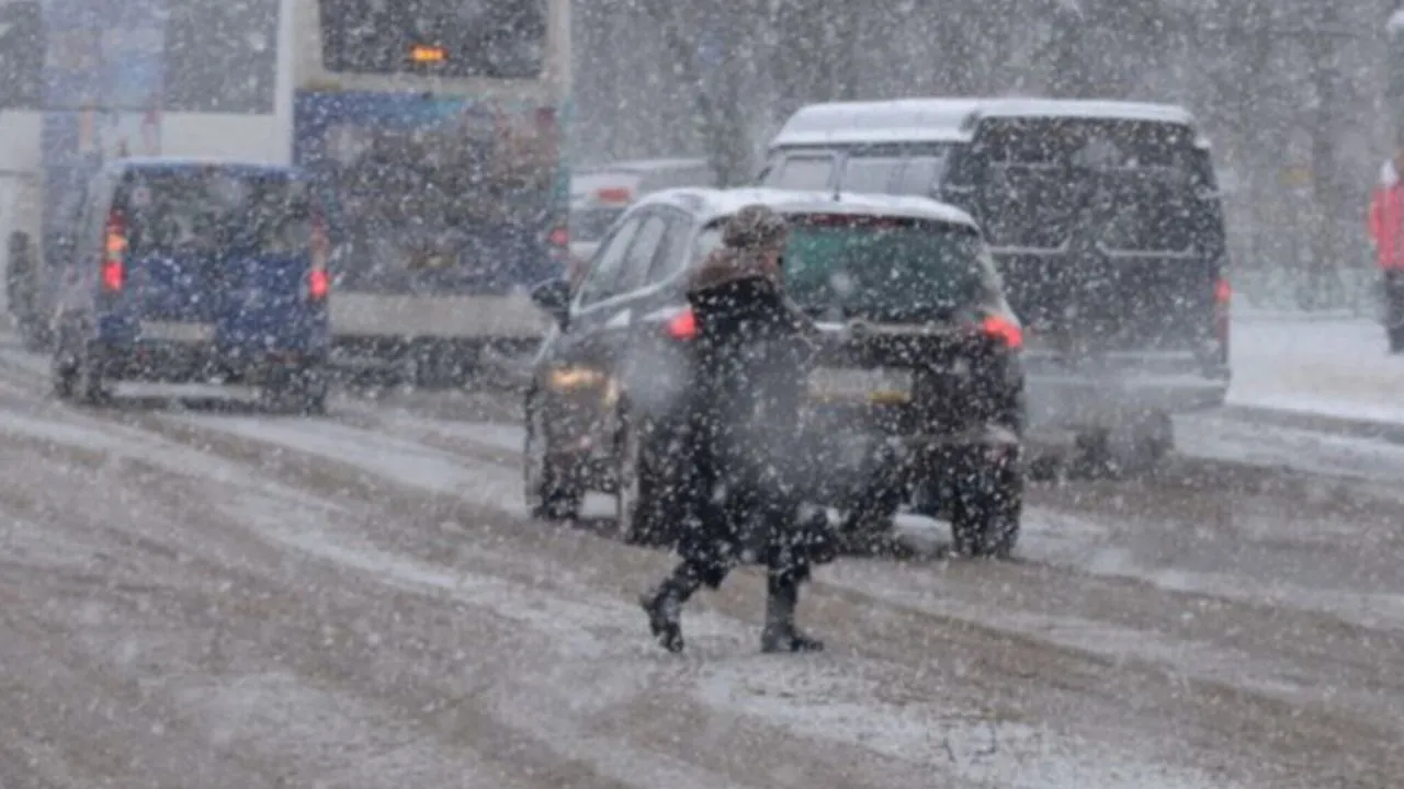 Фото: медиасток.рф