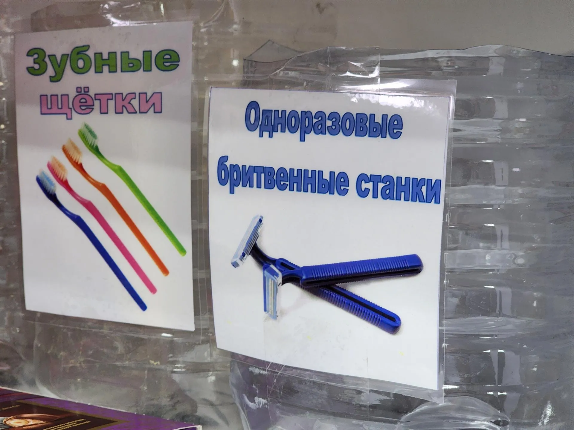 Евгения Корытько