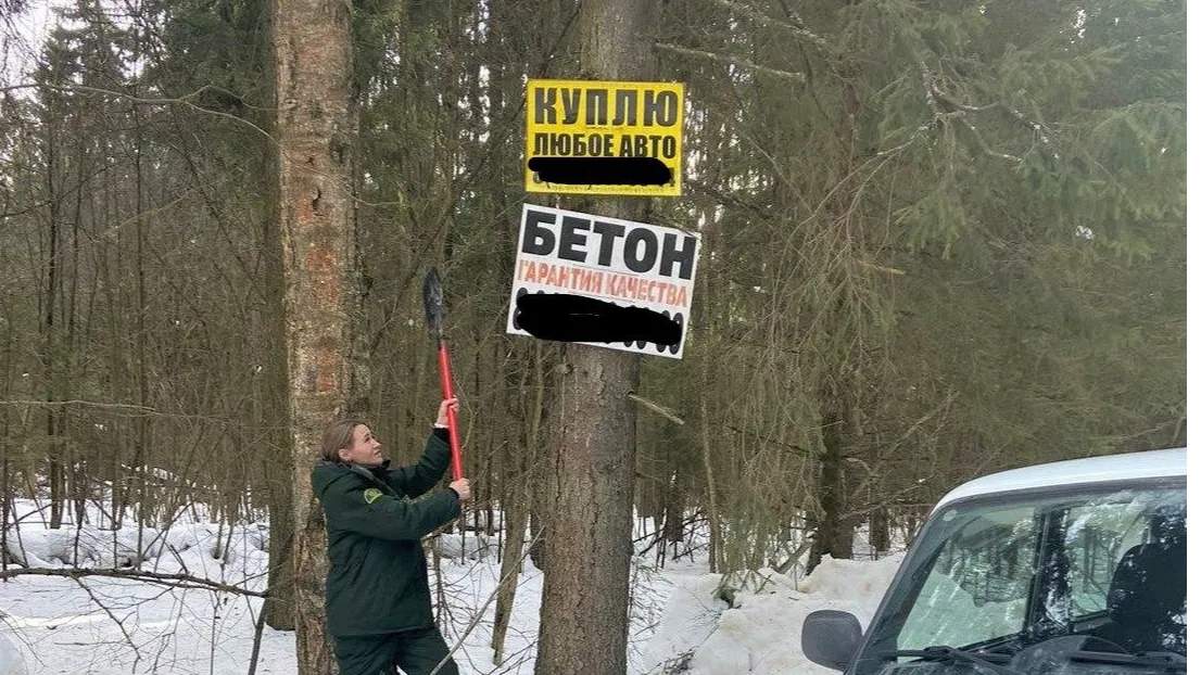 Фото: Комлесхоз МО