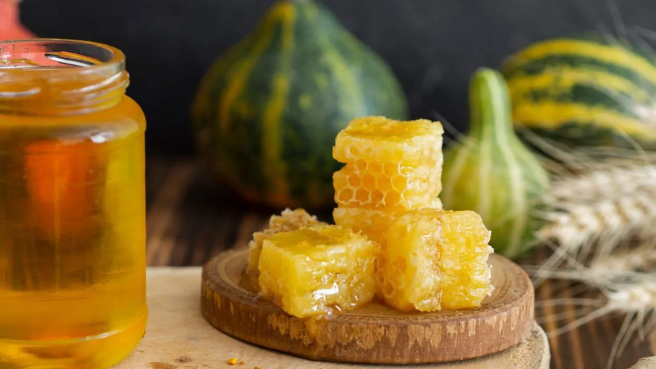 Фото: freepik.com