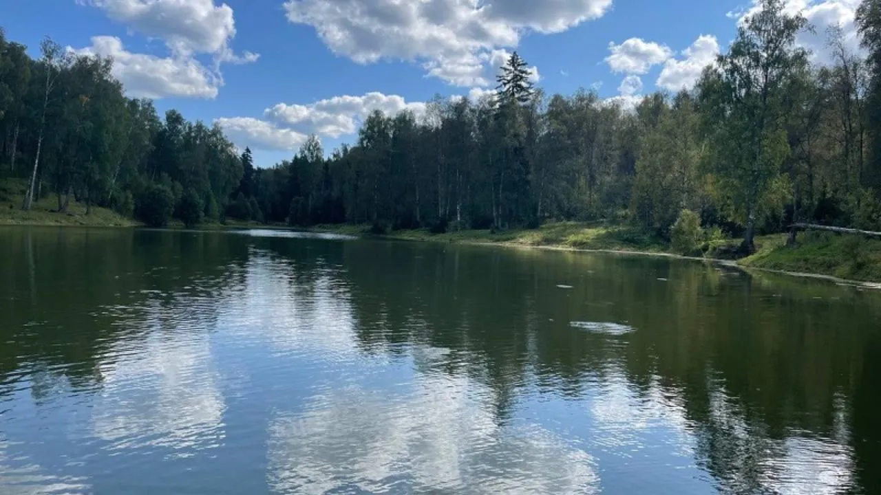 Две тысячи мест отдыха у воды привели в порядок в Подмосковье за сезон