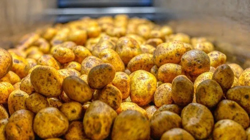 Министерство сельского хозяйства и продовольствия МО