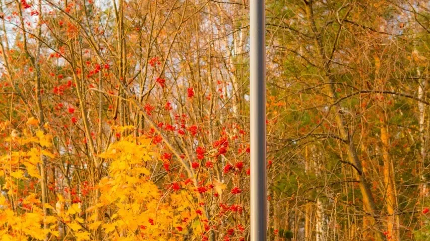 Министерство благоустройства Московской области