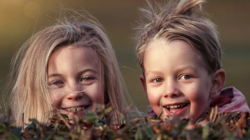 Фото: pxhere.com