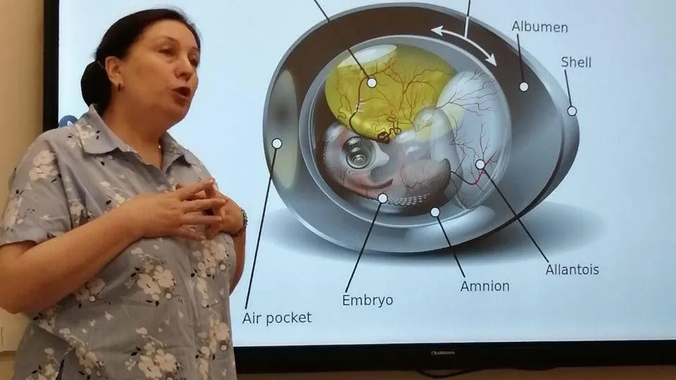 Фото: Администрация г.о. Лобня