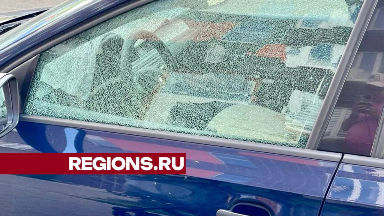 Фото: t.me/newgrad_pavlino