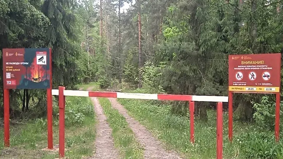 Фото: Комитет лесного хозяйства Московской области