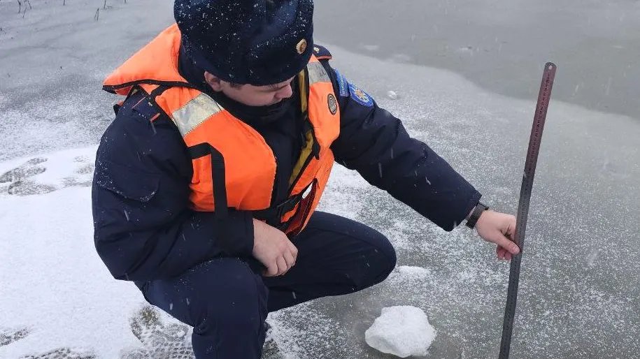 Фото: t.me/mosoblpspas