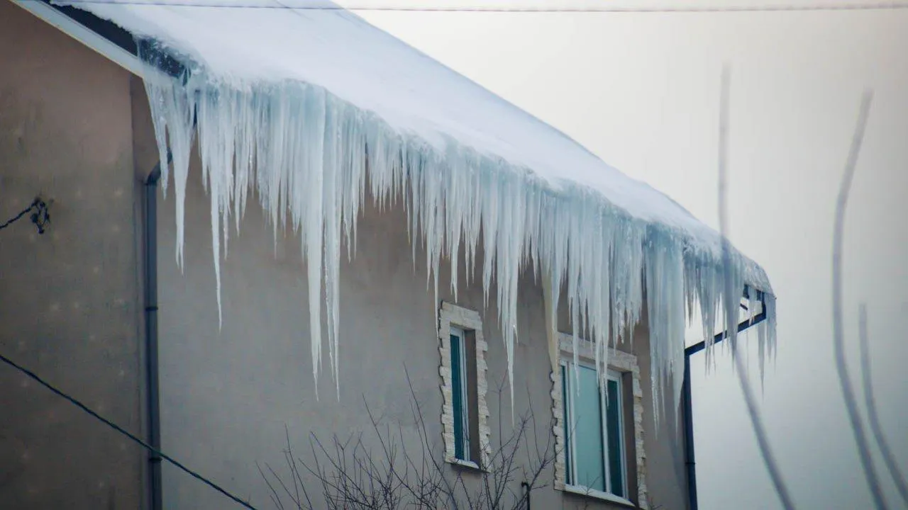 REGIONS/Роман Малышенко