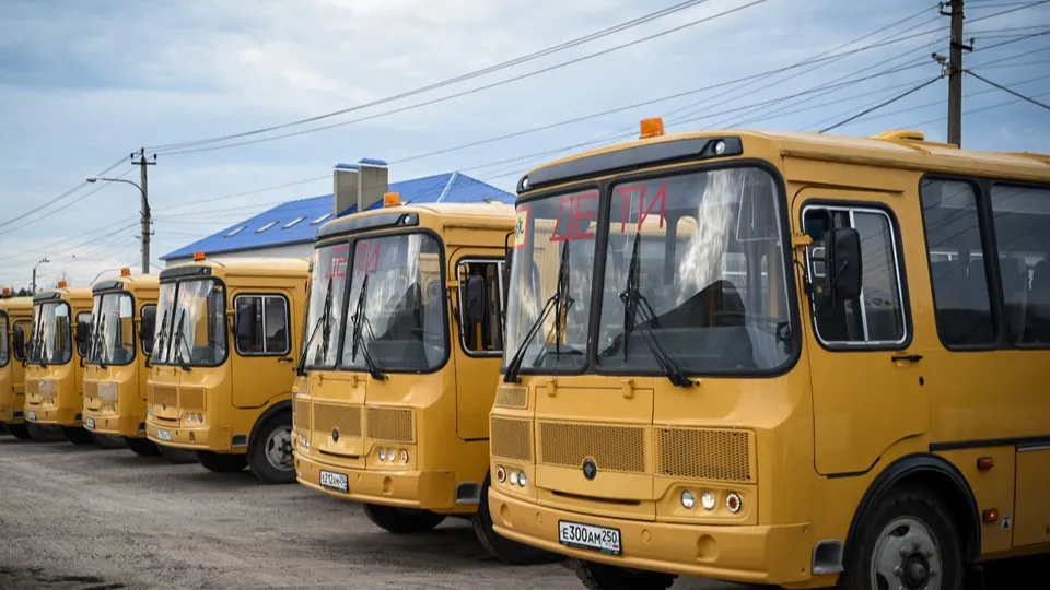 Фото: Ольга Антонова