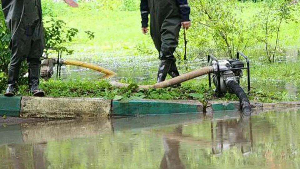 Фото: МедиаБанк Подмосковья/Валентина Максимова