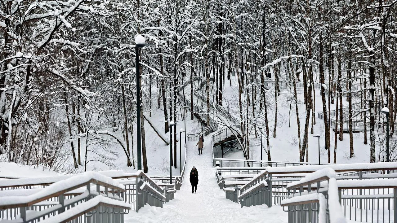 медиасток.рф