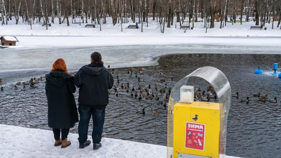 Фото: медиасток.рф
