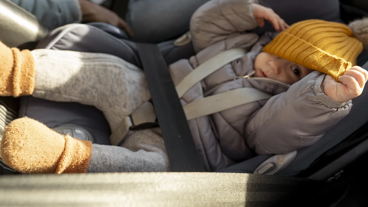 Фото: freepik.com