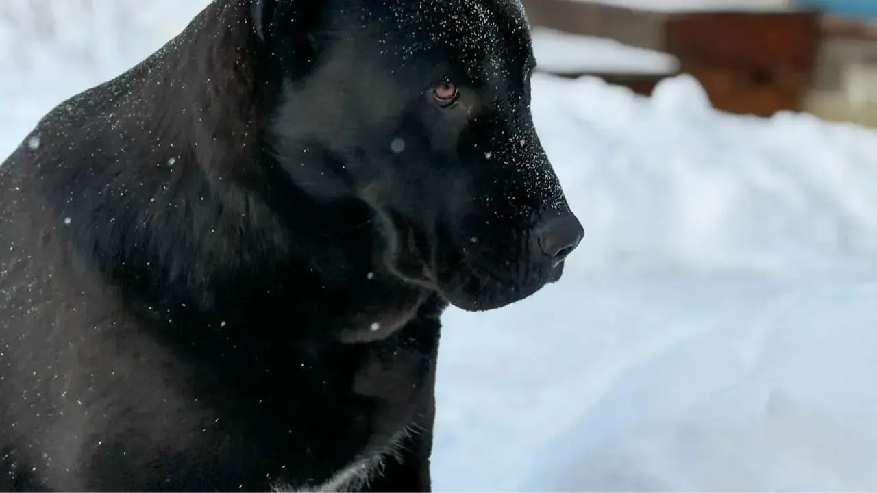 REGIONS/Полина Крачун
