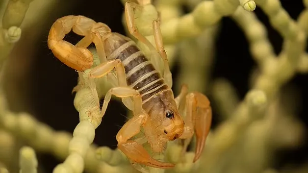 Фото: Daily Mail