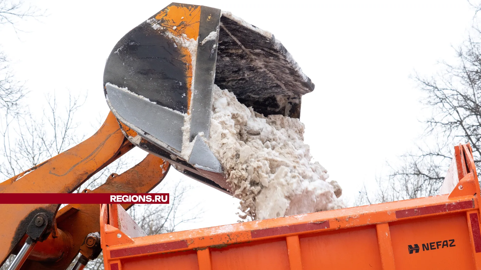 Фото: пресс-служба администрации г. о. Лыткарино