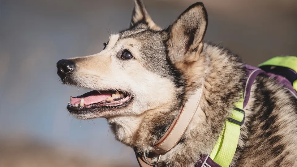 Фото: Екатерина Александрова