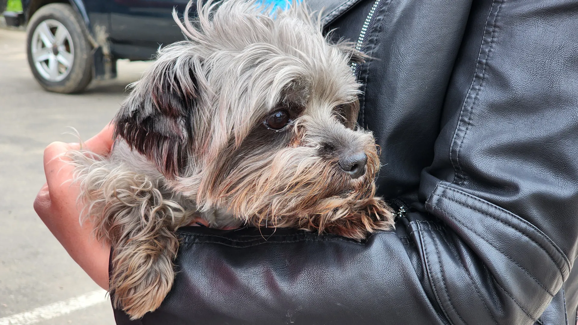 Фото: Валентина Максимова