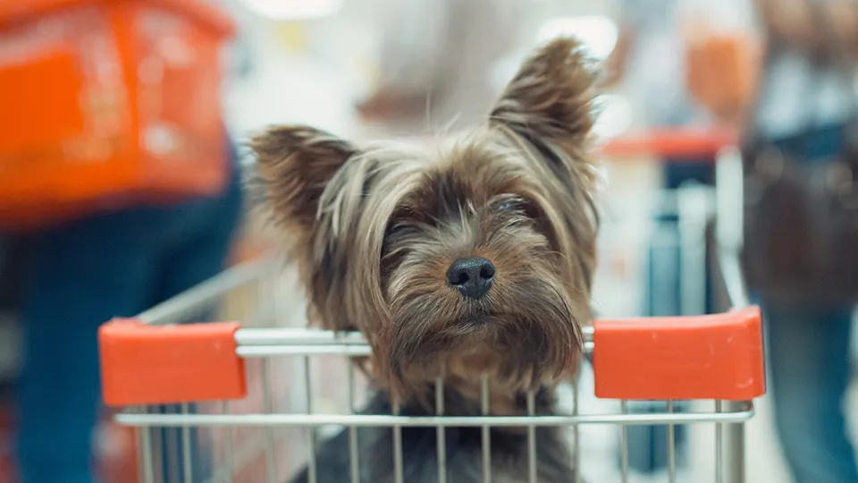 Фото: istockphoto.com