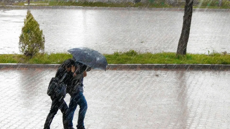 Фото: unsplash.com